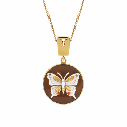 Insetti - Butterfly