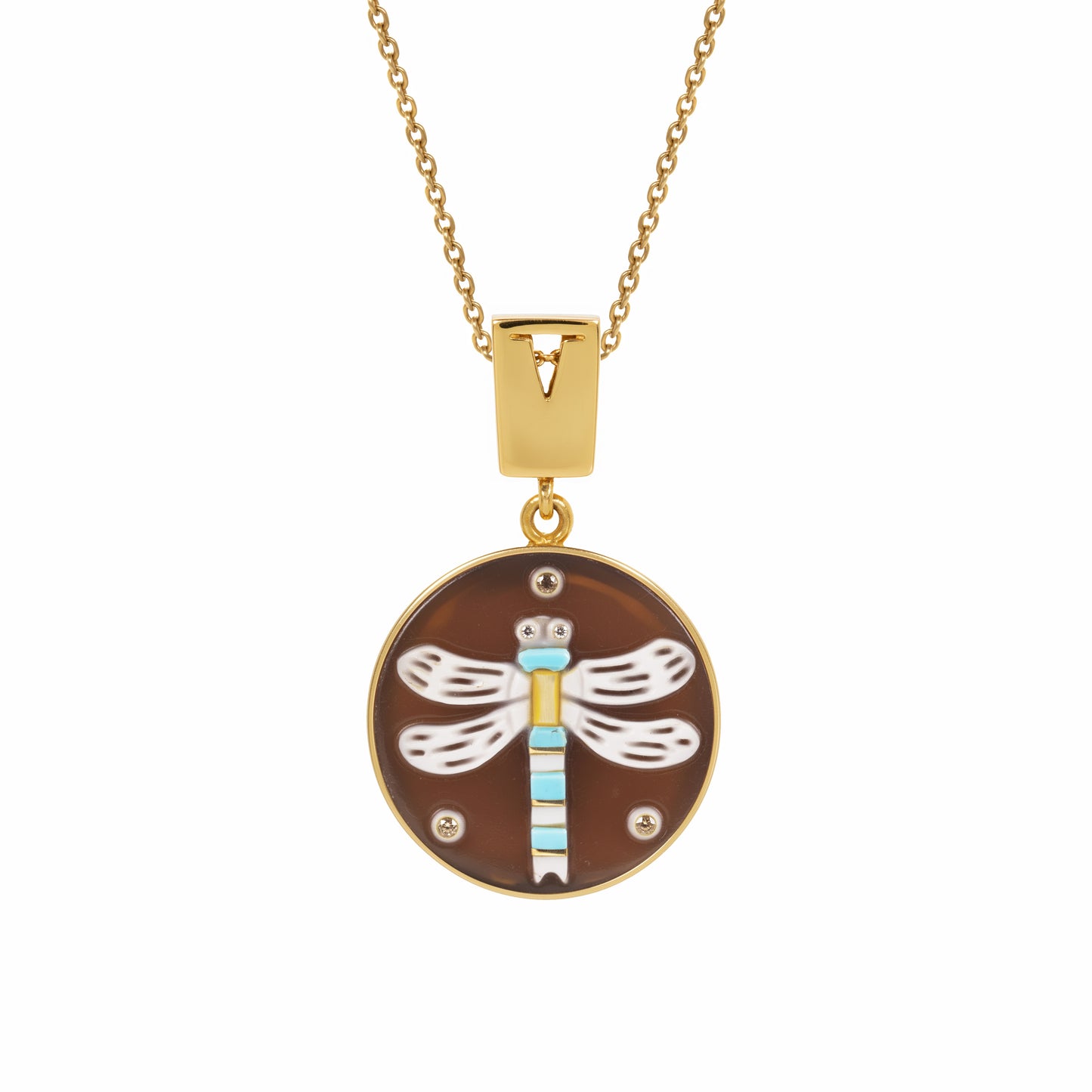 Insetti - Dragonfly